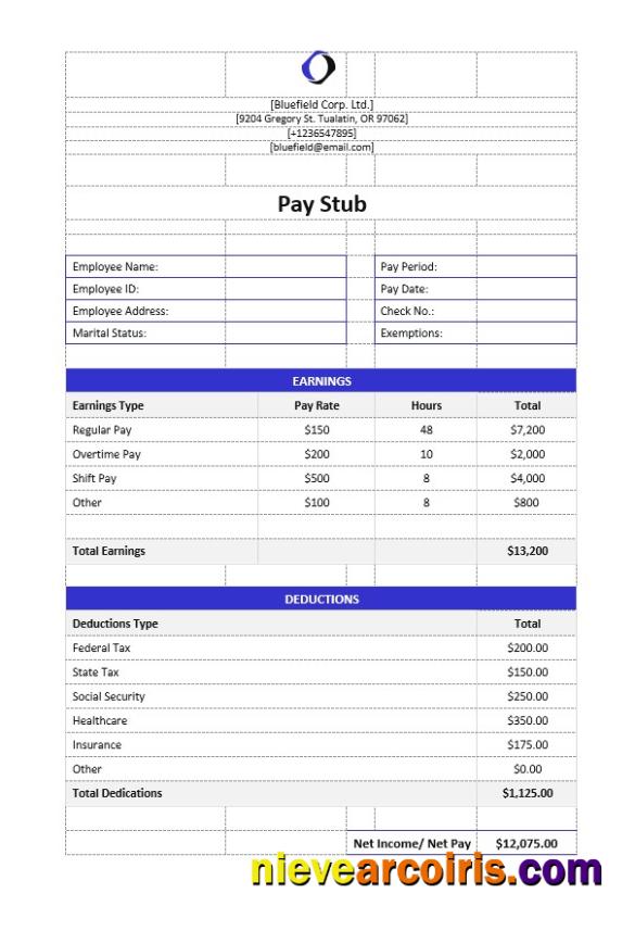Bluefield Corp. Ltd pay stub